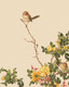 Modern Giclee Chinese Painting 4 (PRT_1178) - Canvas Art Print - 28in X 34in