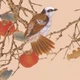 Bird In Nature 06 (PRT_1194) - Canvas Art Print - 28in X 28in