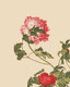 Red Flower (PRT_1403) - Canvas Art Print - 27in X 34in