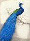 Peacock 02 (PRT_1441) - Canvas Art Print - 28in X 38in