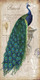 Peacock 03 (PRT_1446) - Canvas Art Print - 19in X 38in