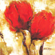 Red Tulip 03 (PRT_1692) - Canvas Art Print - 33in X 33in