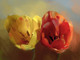 28Flower130 - 32in X 24in,28Flower130_3224,Flowers,Floral,Multi-Color,Oil Colors,Canvas,Rs.2490,Florals;Latest Collection;By Orientation and Size/Horizontal/Medium (25in to 32in);Full Collection,Community Artists Group