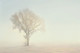 Snowscape,Snow Tree,Snow Fall