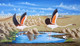 Flamingo In The Desert (ART_7104_42498) - Handpainted Art Painting - 24in X 14in