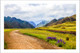 Landscape | Mountain Valley Road Landscape Eco-Friendly & Odorless Canvas Print (PRT_7026_42056) - Canvas Art Print - 48in X 31in