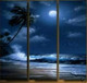 sea, night, sea at night, tides, moon, tree, waves