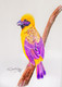 Beautiful Bird 1 (ART_7084_43247) - Handpainted Art Painting - 9in X 13in