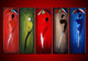 Color of Umbrella - Handpainted Art Painting - 50in X 30in