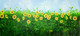 Sunflower Field (ART_3674_43267) - Handpainted Art Painting - 48in X 24in