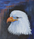 HAWK (ART_7093_42234) - Handpainted Art Painting - 6in X 7in