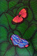 Gift of Nature 8 (ART_1397_43819) - Handpainted Art Painting - 16in X 23in