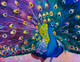 Animals & Birds | Dancing Peacock Portrait On Canvas | Canvas Print (PRT_7026_43910) - Canvas Art Print - 45in X 35in
