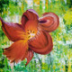 Beauty of Gree  In Rain-Red Flower (ART_3719_44132) - Handpainted Art Painting - 15in X 15in