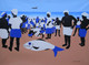 Fish market (ART_6412_44431) - Handpainted Art Painting - 48in X 32in