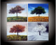 tree, trees, multi piece tree, seasons, autumn, summer, winter, snow, white, tree in seasons