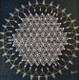 Flower Of Life Mandala (ART_5398_44397) - Handpainted Art Painting - 14in X 14in