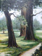 Nature (ART_7218_44659) - Handpainted Art Painting - 24in X 20in