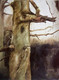 Dry tree (ART_7218_44658) - Handpainted Art Painting - 20in X 16in