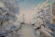 Winter dream (ART_5868_45075) - Handpainted Art Painting - 30in X 20in