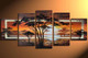 Forest,Nature,Jungle,Tree,Group of Tree
