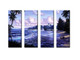 sea, seascape, shore, seashore, tree, coconut tree,landscape