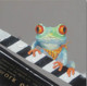 Frog,Frog Playing Music,Playing Piano,Water Animal