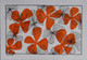 Oranged black Flowers. (ART_7427_48010) - Handpainted Art Painting - 8in X 12in