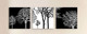 trees, forest, monchromatic tree,black and white tree, minimalistic