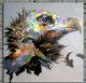 Eagle,Golden Eagle,Bird dark brown