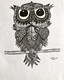 Night riser money attracter Owl (ART_7523_48908) - Handpainted Art Painting - 10in X 12in
