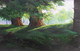 Two trees (ART_5581_49509) - Handpainted Art Painting - 27in X 17in