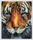Tiger face (ART_7481_49855) - Handpainted Art Painting - 10in X 12in