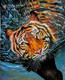 Look (ART_1024_49757) - Handpainted Art Painting - 22in X 32in