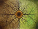 Inside And Outside (ART_464_49802) - Handpainted Art Painting - 48in X 36in