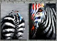 Zebra,Wild Animal,Zebra Pair,black and white Strip animal