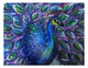 Peacock painting in pink and blue (ART_7481_50197) - Handpainted Art Painting - 12in X 10in