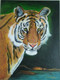 Tiger (ART_7526_48862) - Handpainted Art Painting - 24in X 18in