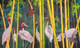 Saras crane (ART_7141_42750) - Handpainted Art Painting - 45in X 27in