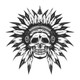 Native Skull  (PRT_1891) - Canvas Art Print - 27in X 27in