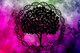 Tree Art With Dark Background 4 (PRT_1992) - Canvas Art Print - 18in X 12in