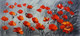 Flowers,Red Poppes,Red flower with black Background
