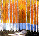 Forest (ART_7613_51296) - Handpainted Art Painting - 30in X 26in