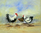 animal, animal painting, birds, hen, hen painting, cock, cock painting, farm