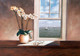 Vase, Vase with White flowers,Window view,Natur view,Boats,Sea View