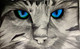 Realistic Cat (ART_7743_51880) - Handpainted Art Painting - 14in X 10in