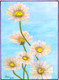 Daisies (ART_7746_52033) - Handpainted Art Painting - 8in X 10in