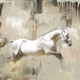 The Distance - 32in X 32in,56Anm16_3232,Community Artists Group,white horse,Canvas,Oil Colors,Horse,Horses,Race,Museum Quality - 100% Handpainted