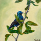 Purple Sunbird Perches for an Instant (ART_6676_53344) - Handpainted Art Painting - 10in X 10in