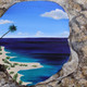 Tropical Paradise (ART_6584_53191) - Handpainted Art Painting - 18in X 18in